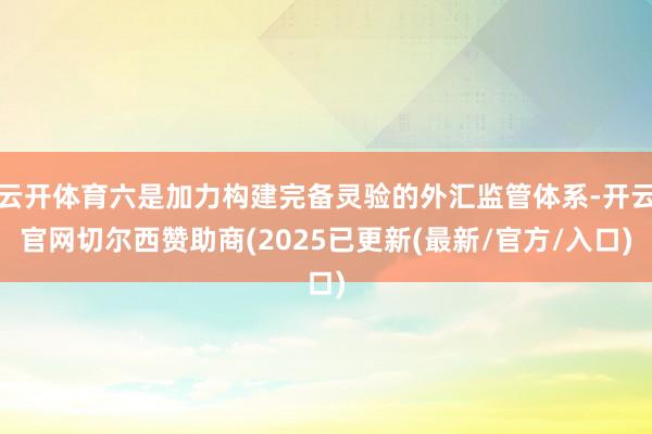 云开体育六是加力构建完备灵验的外汇监管体系-开云官网切尔西赞助商(2025已更新(最新/官方/入口)