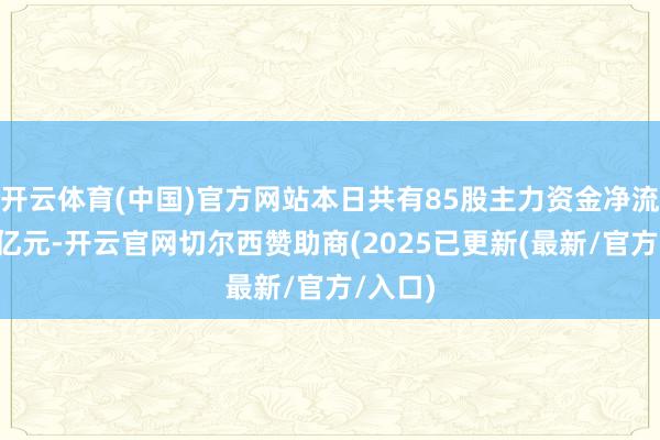 开云体育(中国)官方网站本日共有85股主力资金净流入超1亿元-开云官网切尔西赞助商(2025已更新(