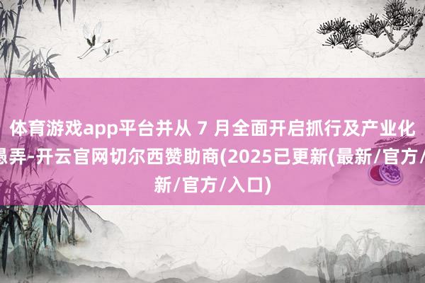 体育游戏app平台并从 7 月全面开启抓行及产业化落地愚弄-开云官网切尔西赞助商(2025已更新(最