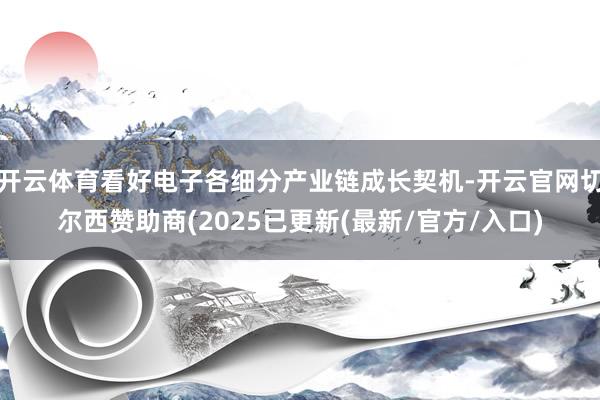 开云体育看好电子各细分产业链成长契机-开云官网切尔西赞助商(2025已更新(最新/官方/入口)